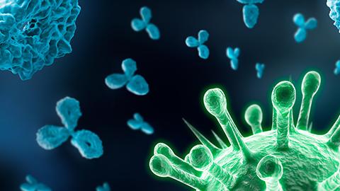 a monoclonal antibody called tocilizumab