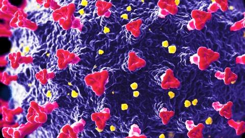 Purple illustration of coronavirus